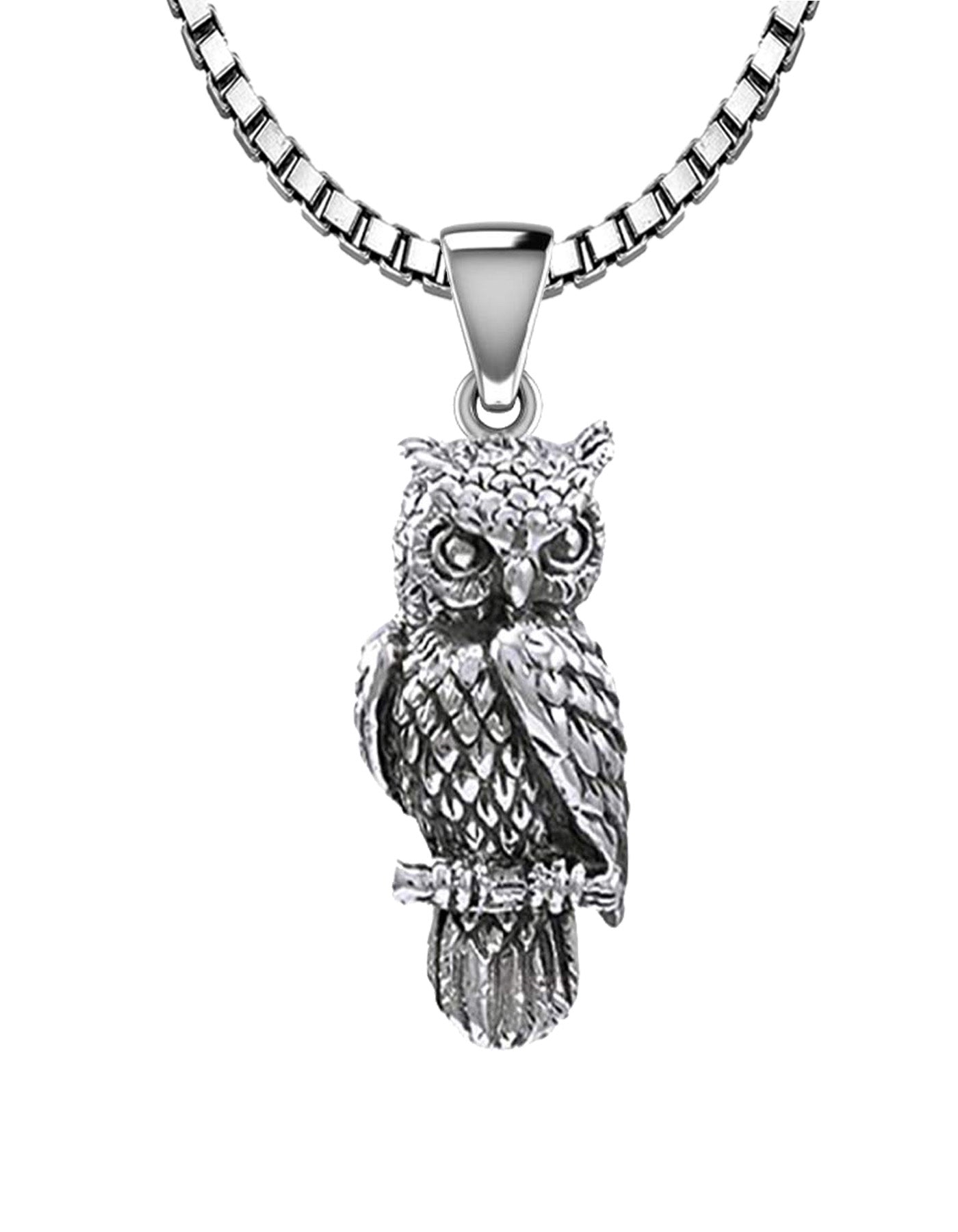 Silver owl necklace and top earings