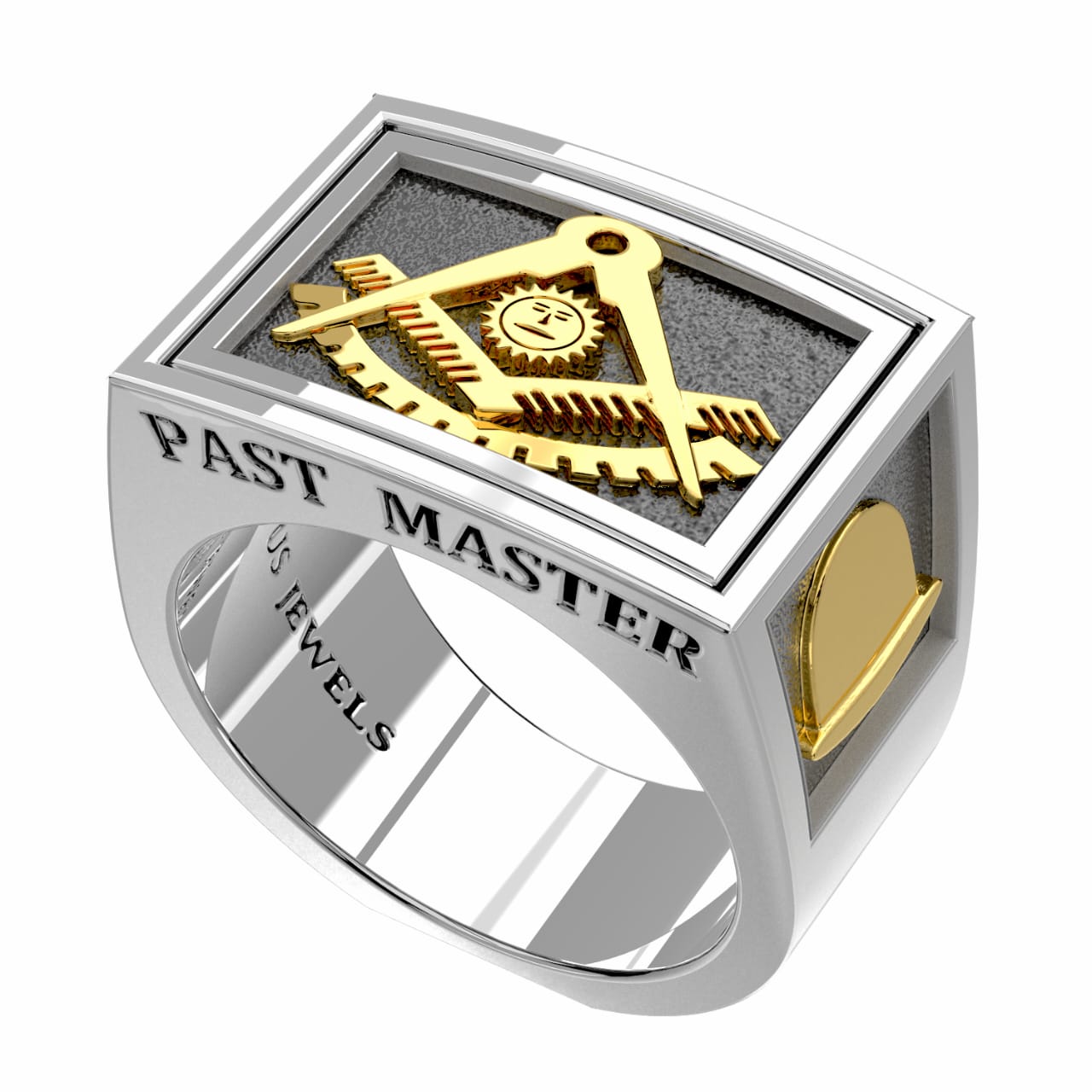 Two Tone Real Gold Past Master Freemason Masonic Oval Mans Ring (JL# R6326)  - Jewelry Liquidation