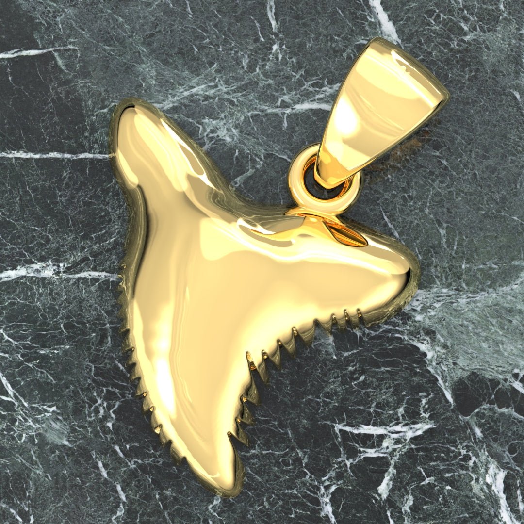 Hammerhead shark tooth on sale necklace