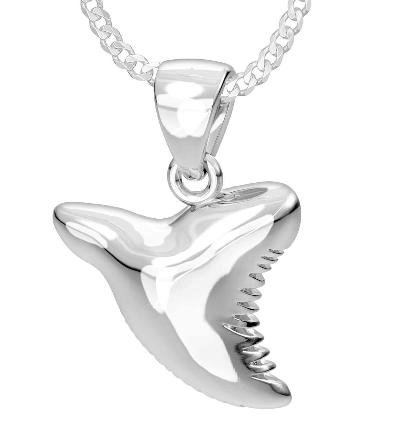 Shark Tooth Necklace - Sterling Silver – KTJ